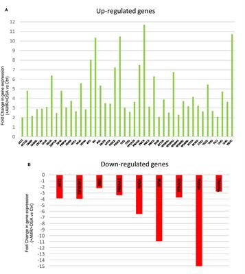 PCR Array Technology in Biopsy Samples Identifies Up-Regulated mTOR Pathway Genes as Potential Rejection Biomarkers After Kidney Transplantation